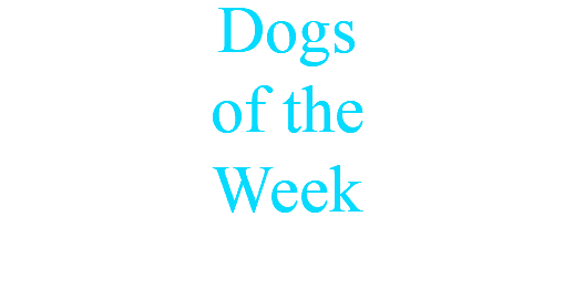 Dogs of the Week